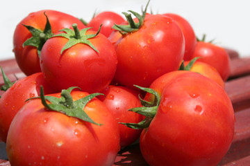 red ripe tomatoes at the market