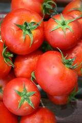 red tomatoes at the market