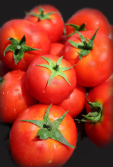 red tomatoes at the market