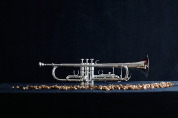 trumpet on black background with dried roses