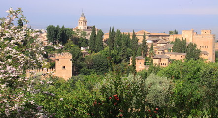 Fototapeta na wymiar Alhambra, Andalucia