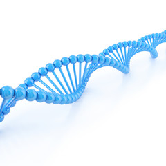 DNA strands on a white background