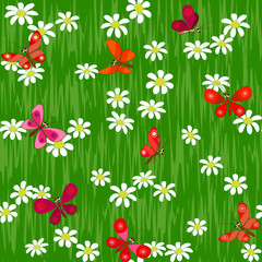 butterfly on camomile field seamless background pattern