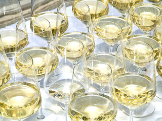 White Wine Catering
