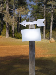 Arrow Sign in the Forest