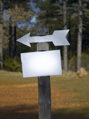 Arrow Sign in the Forest