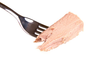 tuna fish