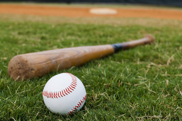Baseball and Bat on Field - 33249642