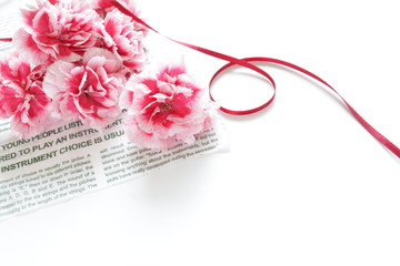 Pink carnation for mother's day image