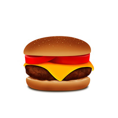 burger on white