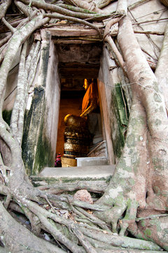 The fame of the temple- maeklong, Samut Songkhram