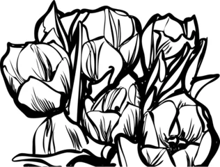 Papier Peint Lavable Fleurs noir et blanc Esquissez un bouquet de tulipes sur fond blanc