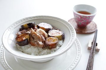 Chinese cuisine, eggplant and pork stir fried with hot tea