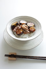 Chinese cuisine, eggplant and pork stir fried on rice