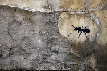 Ameise an einer Hauswand