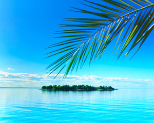 Palm View Island