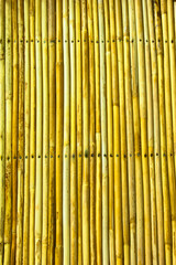 beauty shape of wood