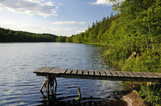 Swedish lake's summer landscape