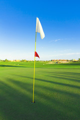 Obraz premium Golf Flag Stirred By The Wind