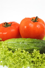 cucumber on green salad with tomatoes isolated on white
