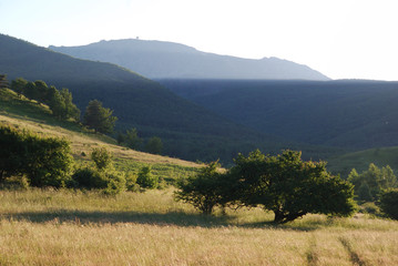Fototapeta na wymiar Vitosha mountain
