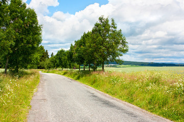 Fototapeta na wymiar Road in countryside - Moravia