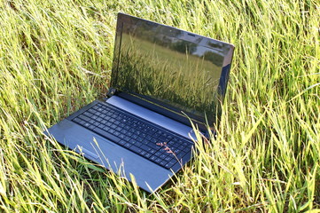 Ноутбук лежит на траве