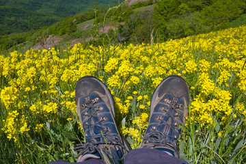 hikers boots on mountain meadow