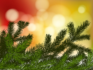 background with fir branches and lights