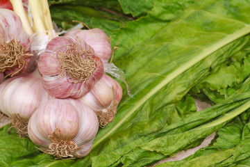 The fresh garlic and greens from kitchen garden