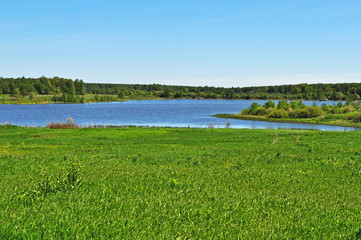 Lake and meadow