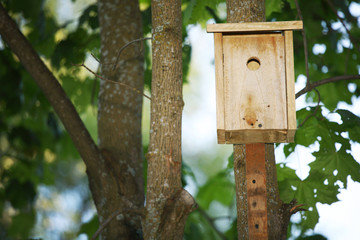 starling house