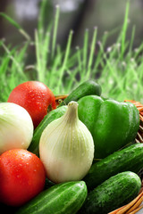 vegetable in the basket on the grass