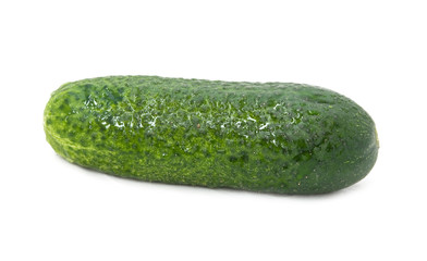 fresh cucumber