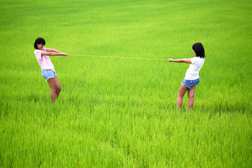 tug of war between two young girls in paddy field