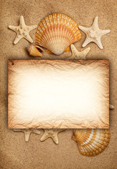 Fototapeta na wymiar Shells, sand and blank card - summer background