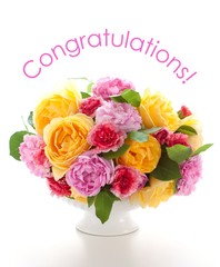 Congratulations!
