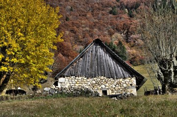 vieille cabane en automne