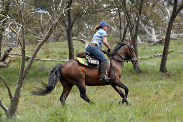 female horse rider
