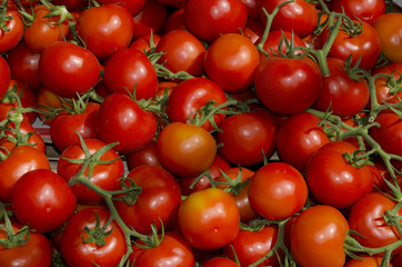 Tomaten