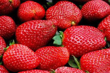 Fresh Strawberry