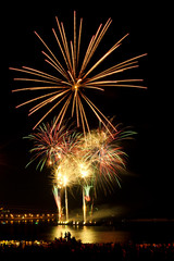 Brightly colorful fireworks  in the night sky