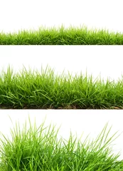 Crédence de cuisine en verre imprimé Printemps fresh spring green grass