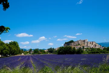 Poster joli village provençal et champs de lavande © Magalice