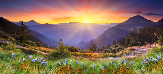 mountain landscape