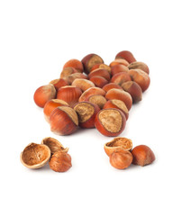 Obraz premium Ripe hazelnuts
