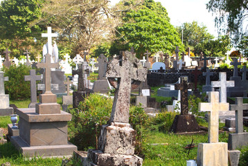 At the graves