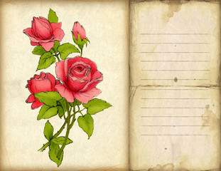 Greeting card with drawing of red rose