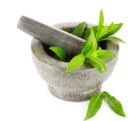 mint in agray mortar isolated on white