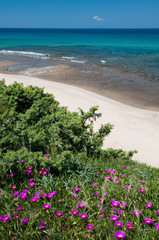 Sardinia, Italy: Lu bagnu beach in Castelsardo